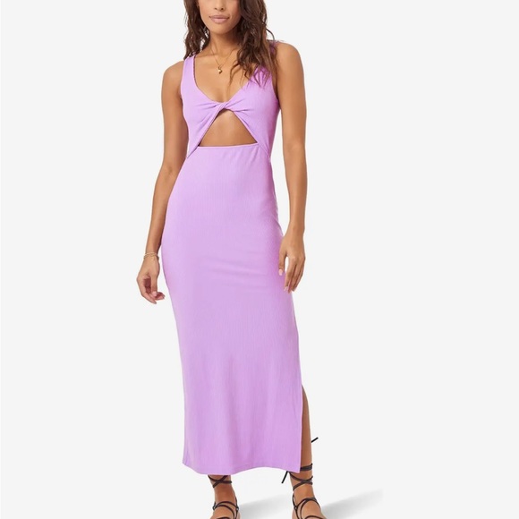 l*space Dresses & Skirts - NWOT L*Space Nico Dress